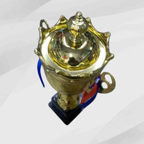 Crown Large Trophy (1pcs)