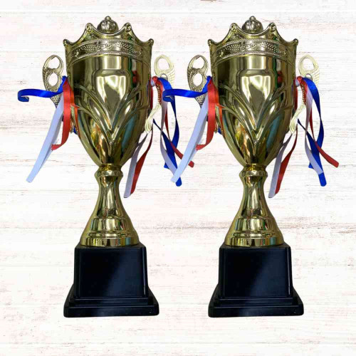 Crown Large Trophy (12pcs)