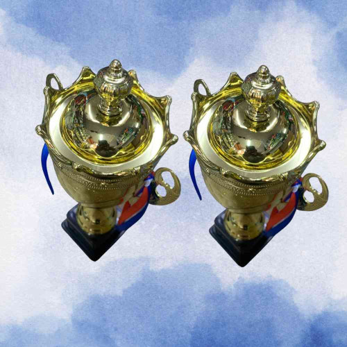 Crown Large Trophy (12pcs)