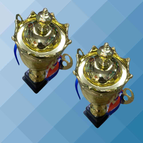 Crown Large Trophy (12pcs)