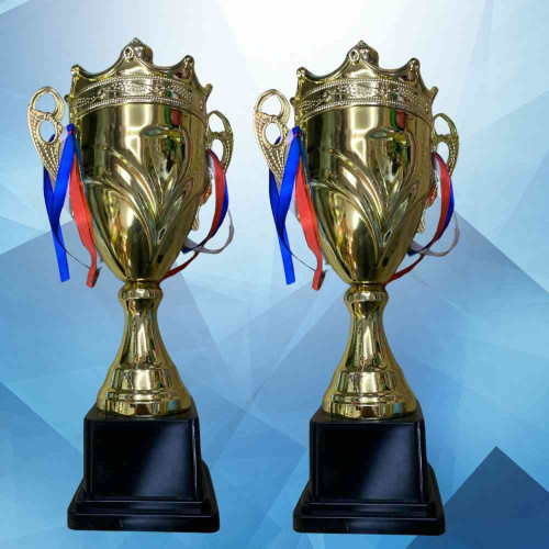 Crown Large Trophy (12pcs)