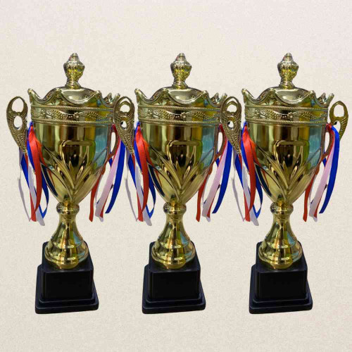 Crown Large Trophy (24pcs)