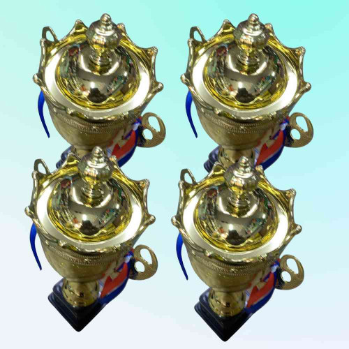 Crown Large Trophy (24pcs)