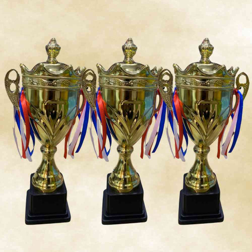 Crown Large Trophy (24pcs)