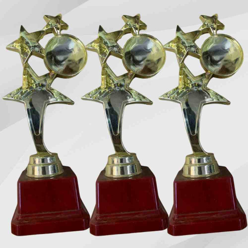 3 Star Small Trophy (72pcs)