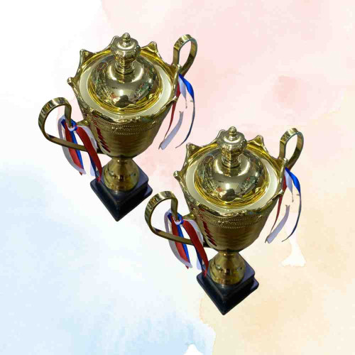 2003 Small Trophy (12pcs)