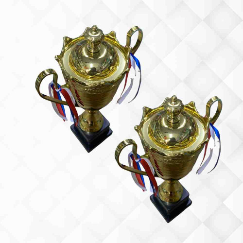 2003 Small Trophy (12pcs)