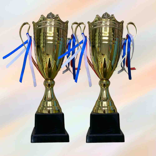 2003 Small Trophy (12pcs)