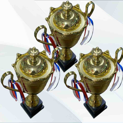 2003 Small Trophy (24pcs)