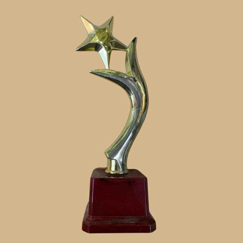 Y One Star Trophy (1pcs)