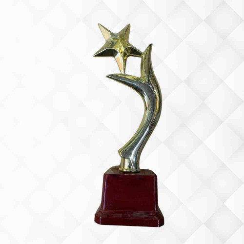 Y One Star Trophy (1pcs)