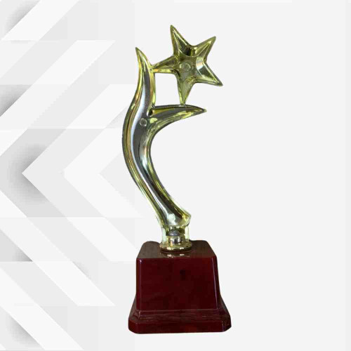 Y One Star Trophy (1pcs)