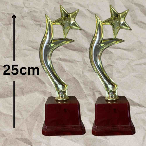 Y One Star Trophy (12pcs)