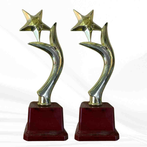 Y One Star Trophy (12pcs)