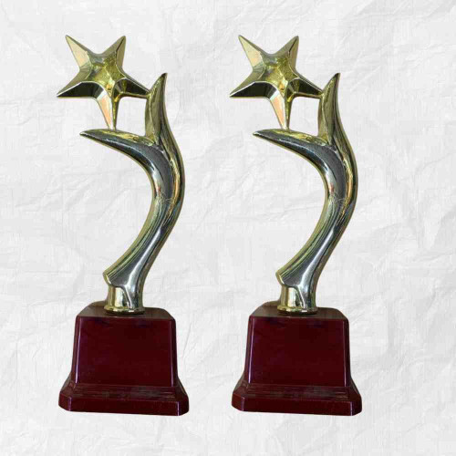 Y One Star Trophy (12pcs)