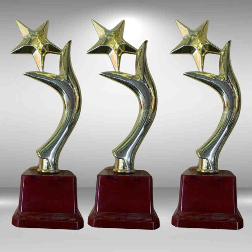 Y One Star Trophy (72pcs)