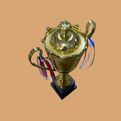 2003 Medium Trophy (1pcs)