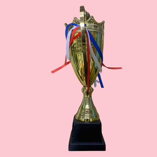 2003 Medium Trophy (1pcs)