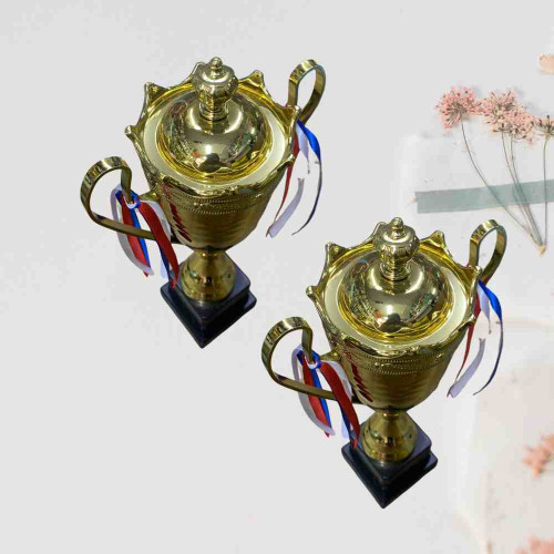 2003 Medium Trophy (12pcs)