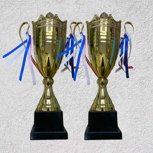 2003 Medium Trophy (12pcs)