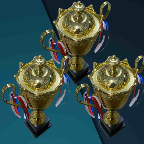 2003 Medium Trophy (24pcs)