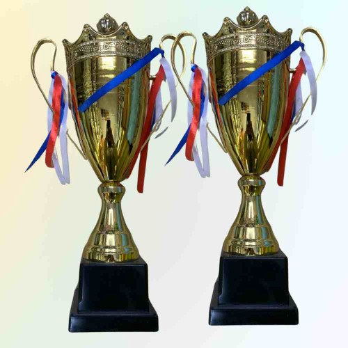 2003 Medium Trophy (24pcs)