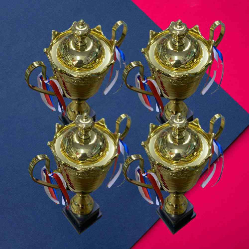 2003 Medium Trophy (24pcs)