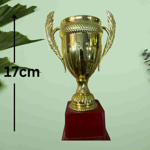 Small Crown Trophy (1pcs)