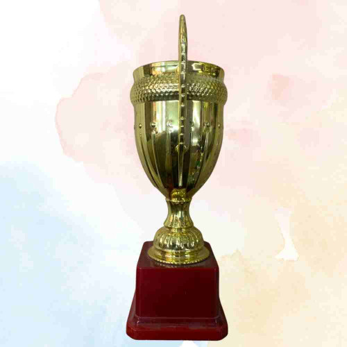 Small Crown Trophy (1pcs)