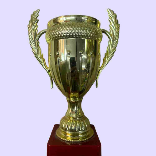 Small Crown Trophy (1pcs)