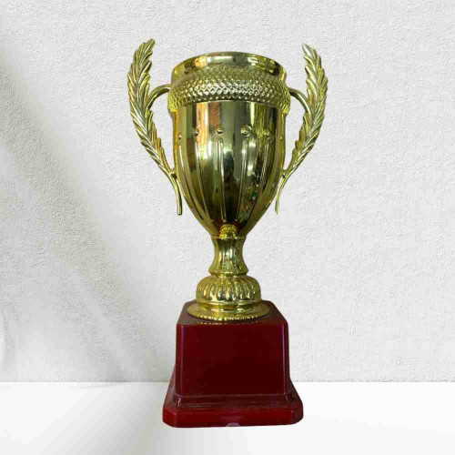 Small Crown Trophy (1pcs)