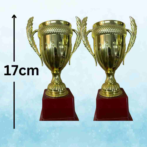 Small Crown Trophy (12pcs)