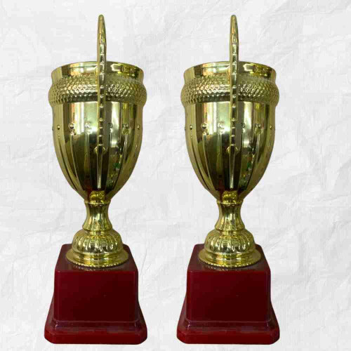 Small Crown Trophy (12pcs)