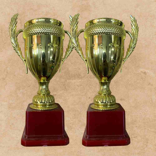 Small Crown Trophy (12pcs)