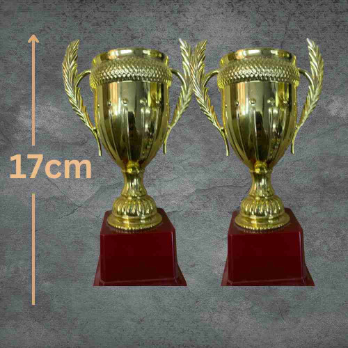 Small Crown Trophy (72pcs)