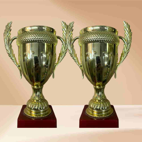 Small Crown Trophy (72pcs)