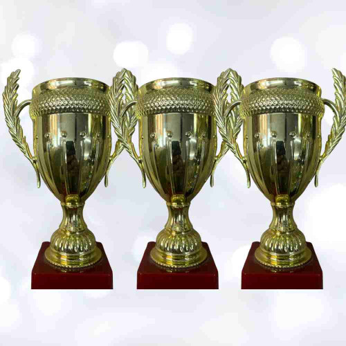 Small Crown Trophy (72pcs)