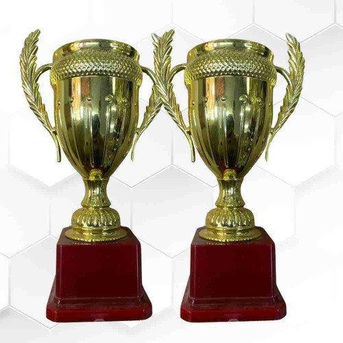 Small Crown Trophy (72pcs)