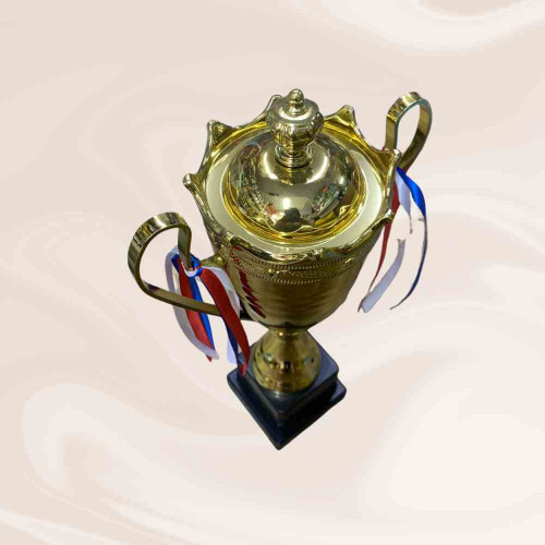 2003 Large Trophy (1pcs)