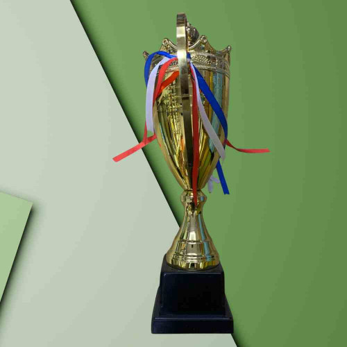 2003 Large Trophy (1pcs)