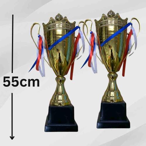 2003 Large Trophy (12pcs)