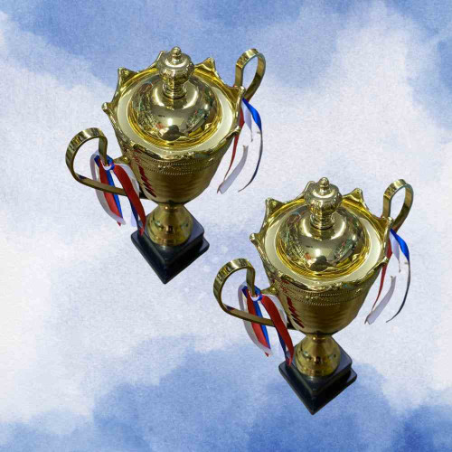 2003 Large Trophy (12pcs)