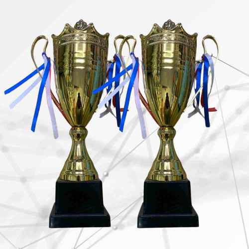 2003 Large Trophy (12pcs)