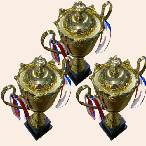 2003 Large Trophy (24pcs)