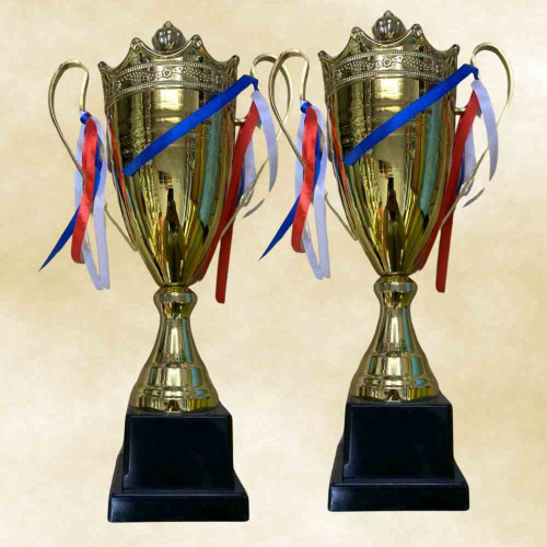 2003 Large Trophy (24pcs)