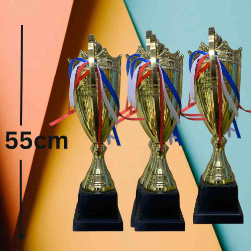 2003 Large Trophy (24pcs)