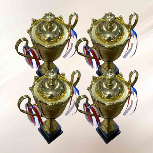 2003 Large Trophy (24pcs)