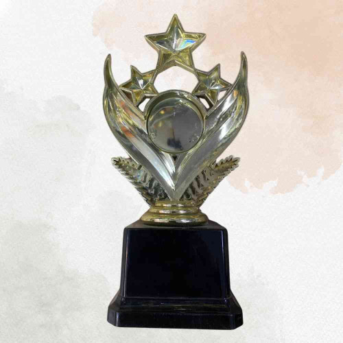 Shining Star Award (1pcs)