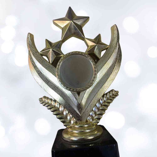 Shining Star Award (1pcs)