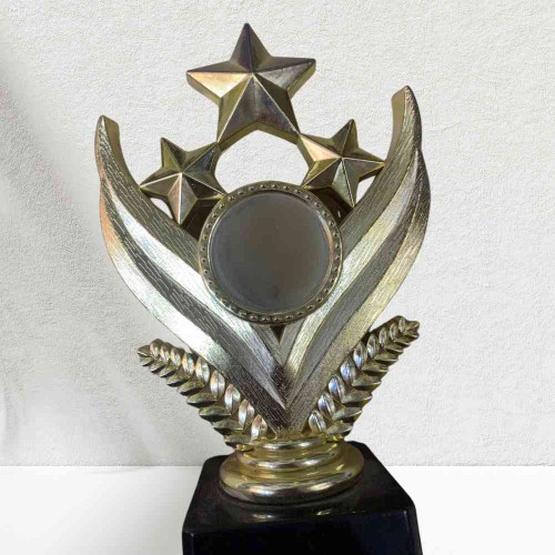 Shining Star Award (1pcs)